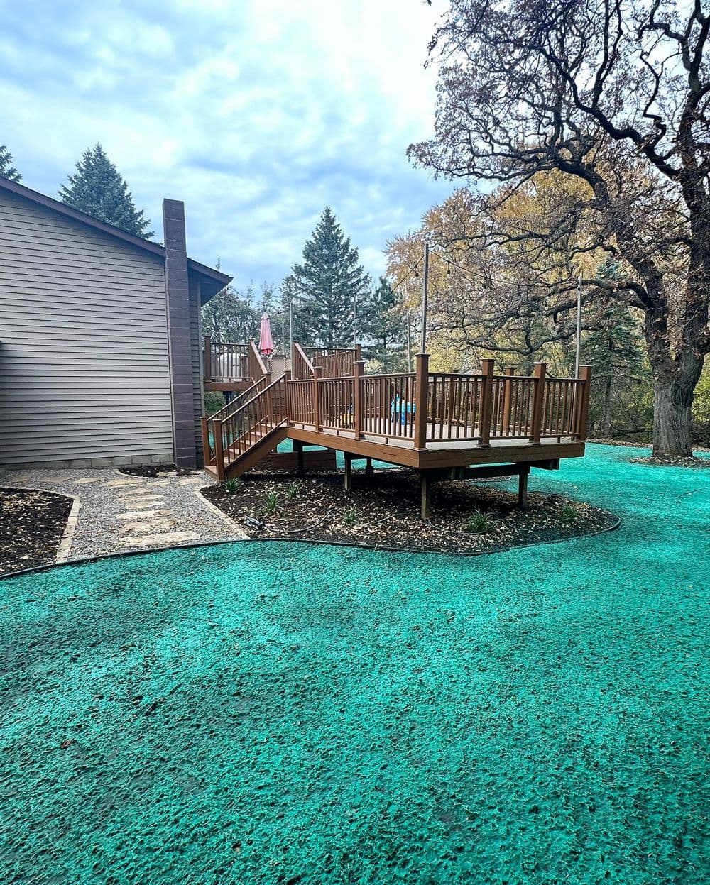 Gallery photos for Backyard Transformation with New Lawn Installation: Image #3