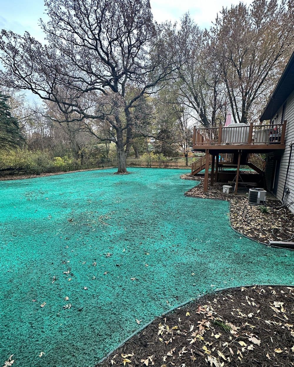 Gallery photos for Backyard Transformation with New Lawn Installation: Image #6