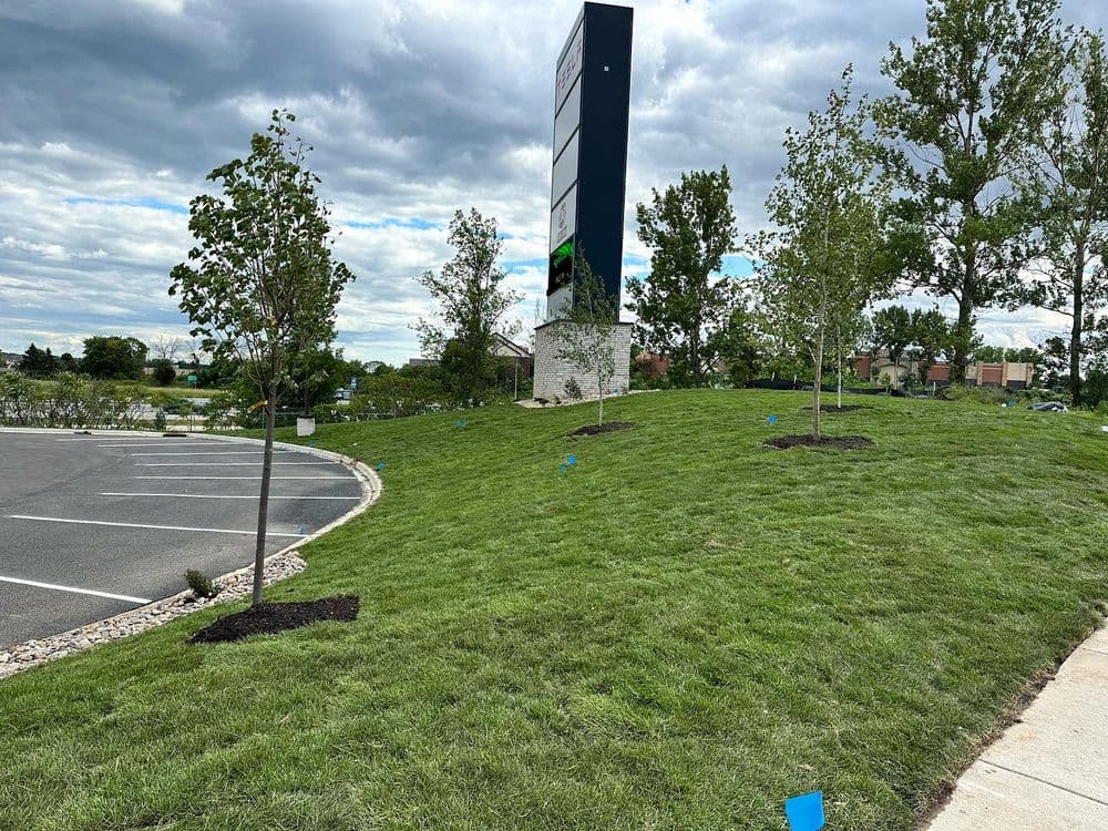 Gallery photos for Commercial Landscape Installation for DQ Grill & Chill: Image #4